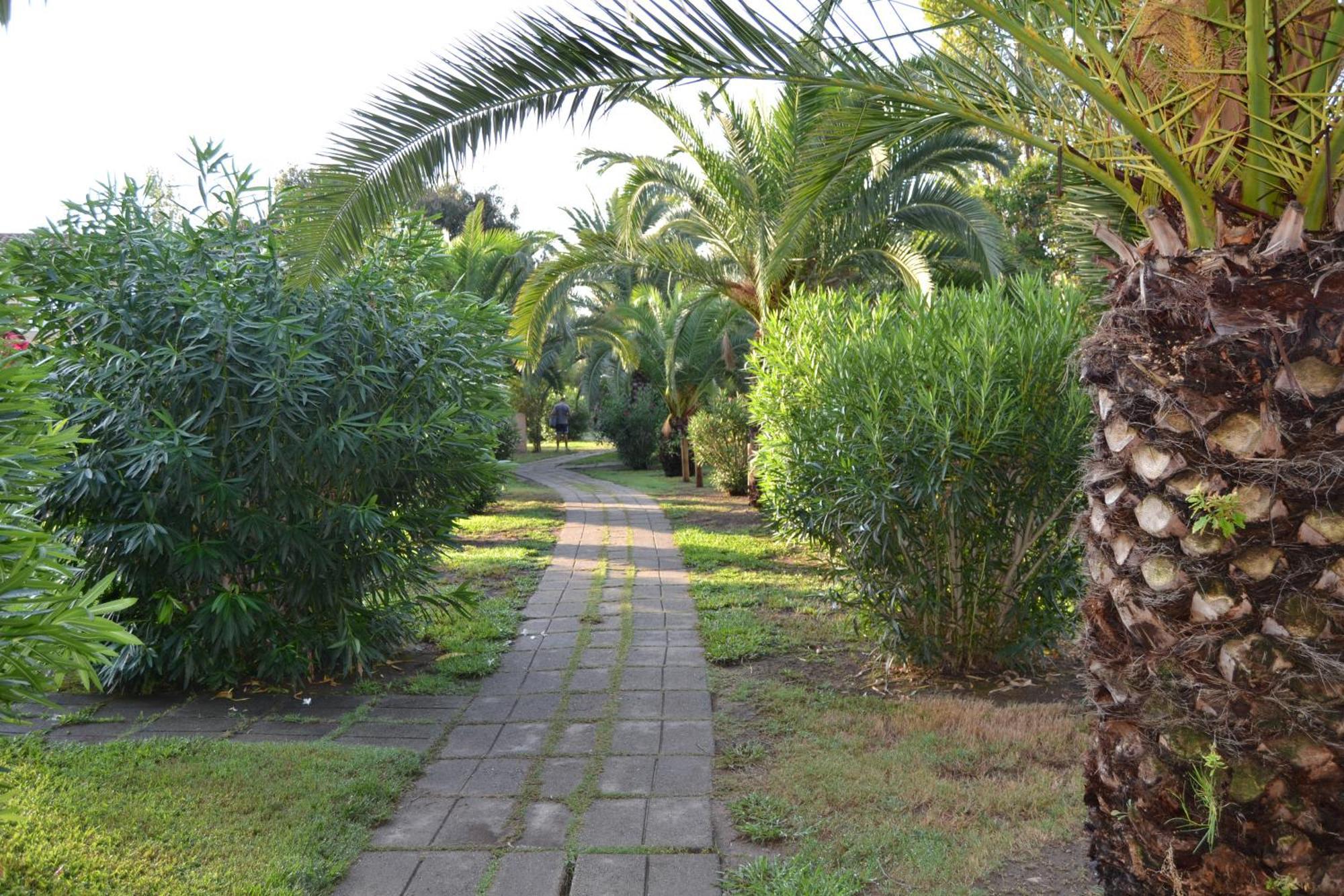 H4 Villa Ghisonaccia Exterior photo